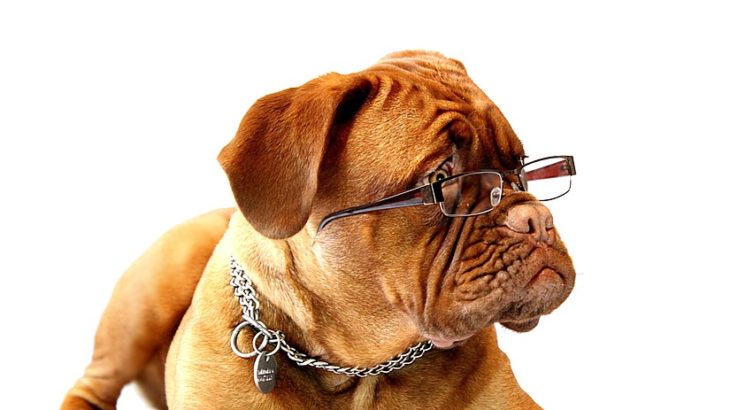 気持ちを表す形容詞の英語 テーマ 機嫌が悪い を使いこなそう Lisutocoblog りすとこブログ Life In America